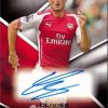 Topps Premier Gold 2014 eBay出品数からSPを推定