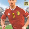 Panini 開封結果 2016 Carrefour Tousensemble Road to France ベルギー代表