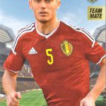 Panini 開封結果 2016 Carrefour Tousensemble Road to France ベルギー代表